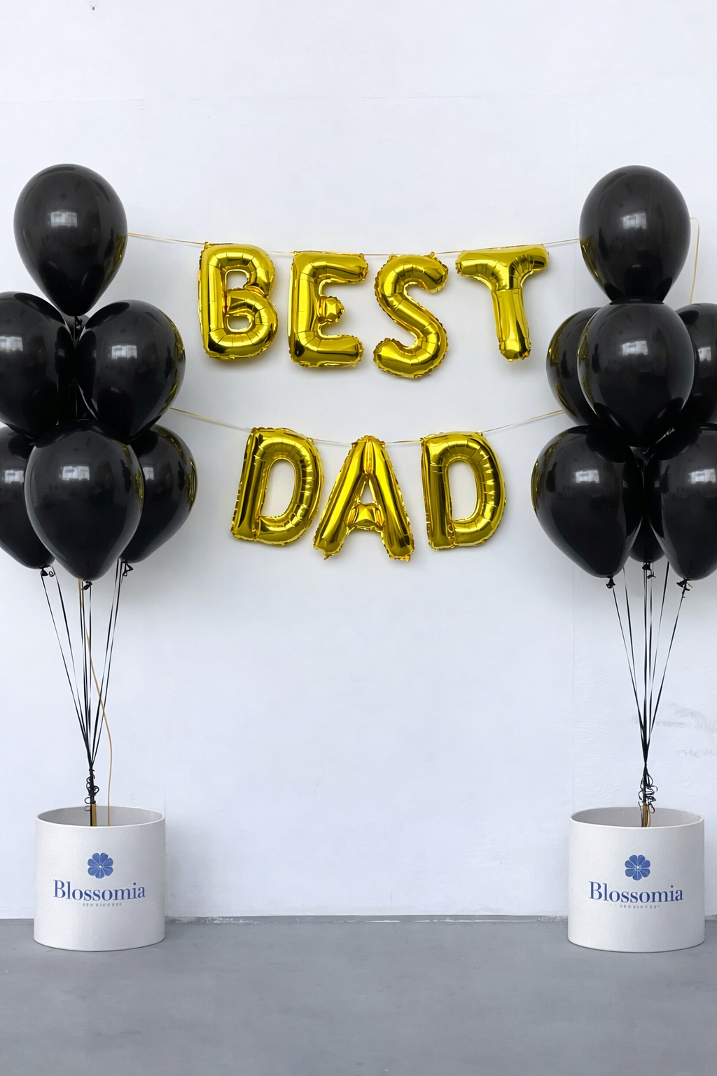 Best Dad Setup with Banner and 14 Latex Balloons