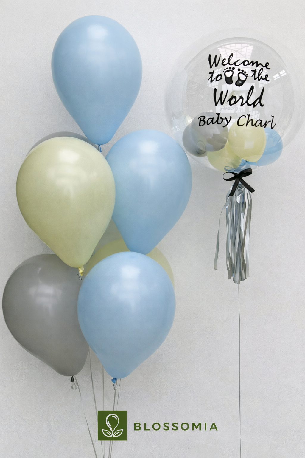 Welcome to the World Baby